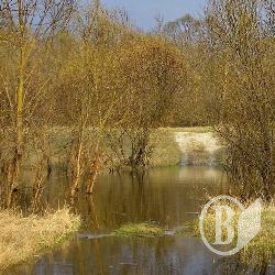 Задзеркалля в Україні: Половодье чи повінь? ФОТОрепортаж Задзеркалля в Україні: Половодье чи повінь? ФОТОрепортаж