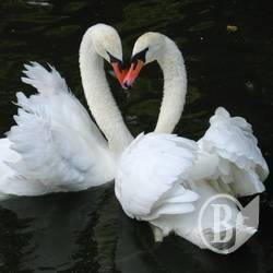 Фотоконкурс від ООН та Olympus: Подбай про свою планету! Фотоконкурс від ООН та Olympus: Подбай про свою планету!