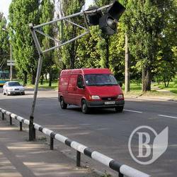 На чию голову ляжу я? ФОТО дня для МНС На чию голову ляжу я? ФОТО дня для МНС