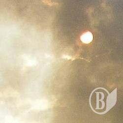 Пожежа: 50 тонн відлетіли у вирій Пожежа: 50 тонн відлетіли у вирій