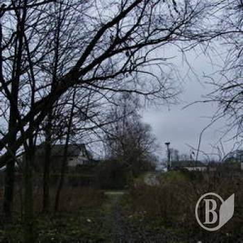 Поминки принесли нову смерть Поминки принесли нову смерть
