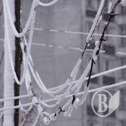 Без электричества остаются 4 района Черниговской области Без электричества остаются 4 района Черниговской области