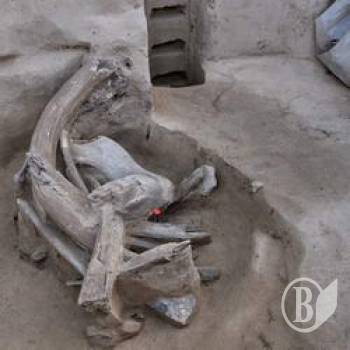 ��������������������� ���������� ������������� �������� � �����������