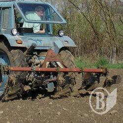СТОВ Батьківщина зголосилося платити за оренду землі більше СТОВ Батьківщина зголосилося платити за оренду землі більше