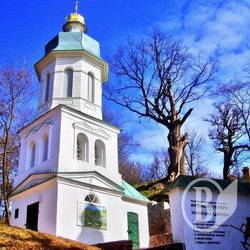 Фахівці лікуватимуть 300-літній дуб у Чернігові Фахівці лікуватимуть 300-літній дуб у Чернігові