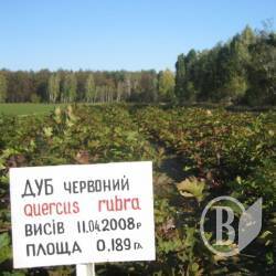 Ревізори знайшли... вакансії Ревізори знайшли... вакансії