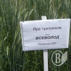 Селекціонери-селянам: Наше насіння – ваш високий врожай Селекціонери-селянам: Наше насіння – ваш високий врожай