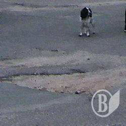 Чернігівськими шляховиками зацікавилося КРУ. І пропонує оцінити Чернігівськими шляховиками зацікавилося КРУ. І пропонує оцінити
