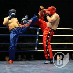 Кикбоксинг: Чемпионами Европы становятся в Кишиневе Кикбоксинг: Чемпионами Европы становятся в Кишиневе