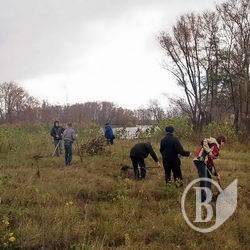Природоохоронці: На Магістратському дерева саджають, а не «дачку» розгортають! ФОТО Природоохоронці: На Магістратському дерева саджають, а не «дачку» розгортають! ФОТО