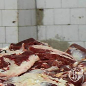 ϳ     8,5 .  11  2009 