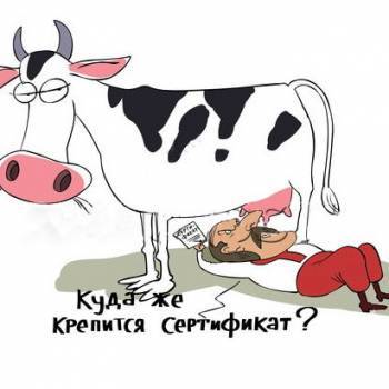СОТ шкодить Україні? СОТ шкодить Україні?