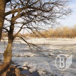 Розведено міст через Десну біля Новгород-Сіверського Розведено міст через Десну біля Новгород-Сіверського