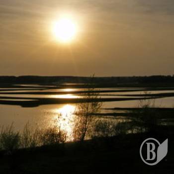Весняна повінь на Десні початку травня-2010. ФОТОрепортаж Весняна повінь на Десні початку травня-2010. ФОТОрепортаж