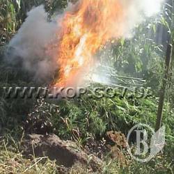 ������� ������� ����? ����� 300 �������!