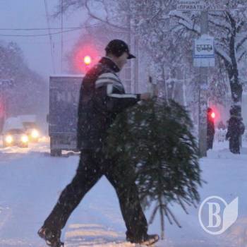 Увага: операція «Новорічна ялинка» Увага: операція «Новорічна ялинка»