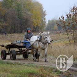 Пільгові перевезення: Пенсіонери, ідіть ви… на дачі пішки Пільгові перевезення: Пенсіонери, ідіть ви… на дачі пішки