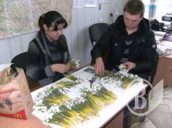 Підсніжники захищаються ... штрафами Підсніжники захищаються ... штрафами