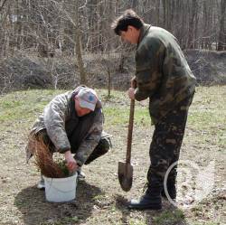Працівники СБУ посадили півсотні молодих саджанців у Чернігові Працівники СБУ посадили півсотні молодих саджанців у Чернігові