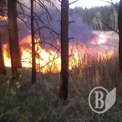 На Чернігівщині ліквідували пожежу 70-ти гектарів очерету На Чернігівщині ліквідували пожежу 70-ти гектарів очерету
