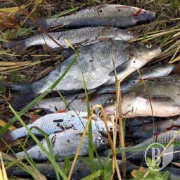 �� ������ ������ ���������� ��� �������