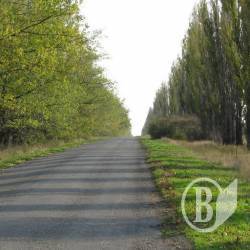 Про дві біди Бахмаччини Про дві біди Бахмаччини