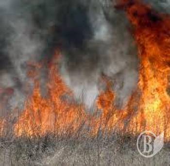 ����� � ��� ���� �����!