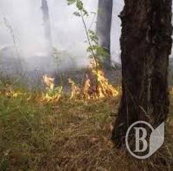 ���� ������ ��������. ���� ������ �� �����������?