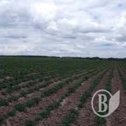 ��������� �������� ������������ ���� (����)