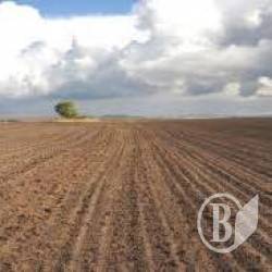 ��� ���� �������� �� ���������� �� ����������� 