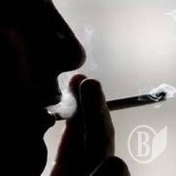 � ����� ������, ������, �������