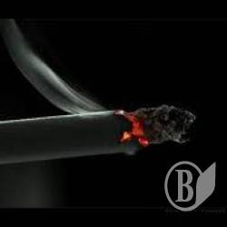 ��� ����� ����� ������. ��������