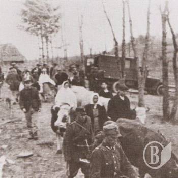 Польський сейм розглядає заяву про засудження акції «Вісла» Польський сейм розглядає заяву про засудження акції «Вісла»
