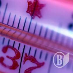 За «сезон» від грипу померла 1 людина За «сезон» від грипу померла 1 людина
