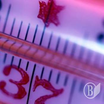 За «сезон» від грипу померла 1 людина За «сезон» від грипу померла 1 людина