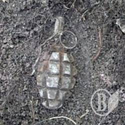 На місці сінника ховалась граната На місці сінника ховалась граната