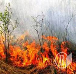 Горять трави – у небезпеці ліси Горять трави – у небезпеці ліси