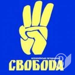 Як свободівці святкували День Конституції (фото) Як свободівці святкували День Конституції (фото)