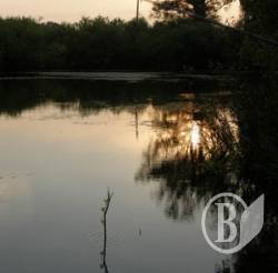 4-річного хлопчика шукають на Чернігівщині 4-річного хлопчика шукають на Чернігівщині