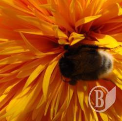  � �������  � ������ �������