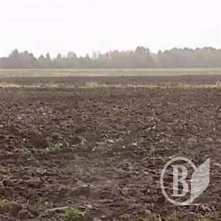 На Чорнобильські землі напали інвестори На Чорнобильські землі напали інвестори