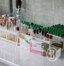 Чернігів і область продовжують бухикати без грипу Чернігів і область продовжують бухикати без грипу