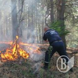 Наші рятувальники знають все про лісові пожежі – ІІ місце на фестивалі Наші рятувальники знають все про лісові пожежі – ІІ місце на фестивалі