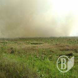 В урочищі «Видра» горить торф В урочищі «Видра» горить торф