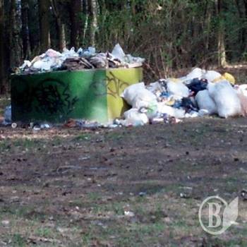 Ніжинці сваряться через сміття, або Найшла коса на камінь Ніжинці сваряться через сміття, або Найшла коса на камінь
