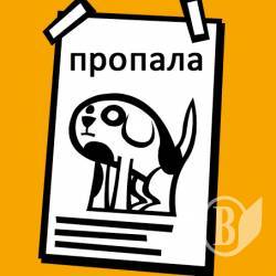 Собачий бізнес, або Ноу-хау від чернігівських шахраїв Собачий бізнес, або Ноу-хау від чернігівських шахраїв