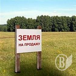 Оренда земля та сучасний ринок – як захистити селянина з користю? Оренда земля та сучасний ринок – як захистити селянина з користю?