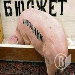 12 років за «корито» з бюджетними грошима 12 років за «корито» з бюджетними грошима