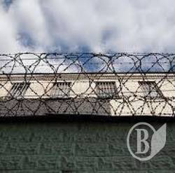Канабис оптом – наркоторговцев посадили с конфискацией имущества Канабис оптом – наркоторговцев посадили с конфискацией имущества