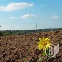 Прокурори врятували від приватних рук 600 га землі Прокурори врятували від приватних рук 600 га землі